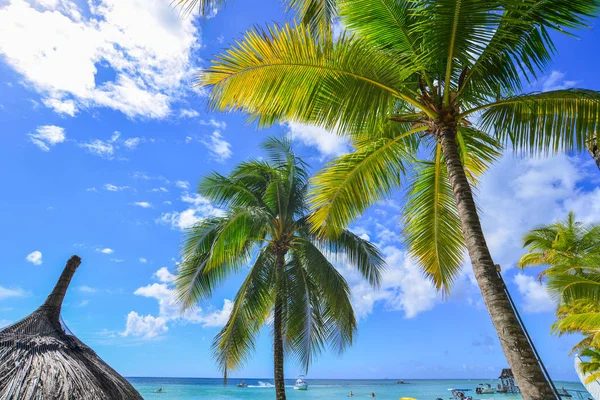 Bellissimo paesaggio marino dell'isola di Mauritius — Foto Stock