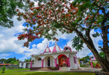 Gösterişli ağaçlı yerel tapınak 