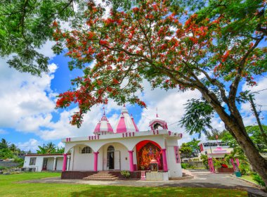 Gösterişli ağaçlı yerel tapınak 
