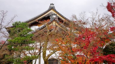 Sonbahar ağaçları ile Antik tapınak 