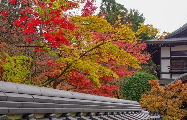 Cenário de outono em Arashiyama, Kyoto, Japão — Fotografia de Stock