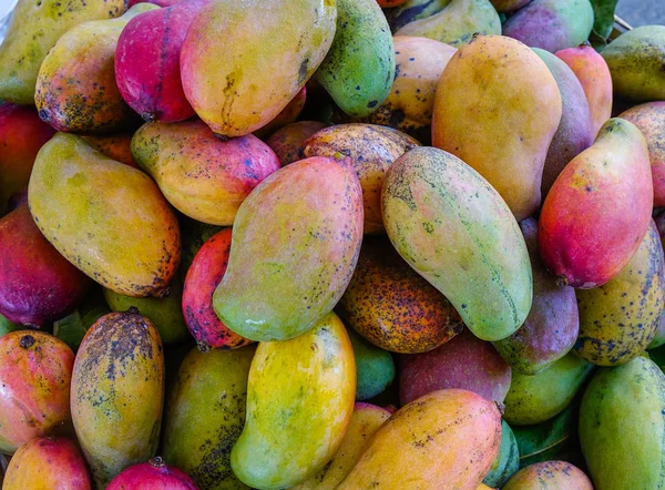 Μάνγκο φρούτα προς πώληση στην αγορά του δρόμου — Φωτογραφία Αρχείου