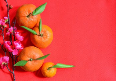 Ay yeni yıl arka plan 