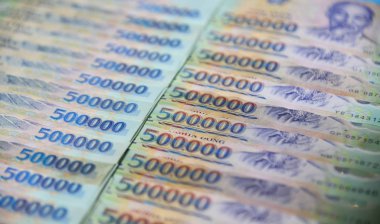 Vietnam kağıt parası 500,000 Vnd 