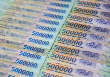 Vietnam kağıt parası 500,000 Vnd 