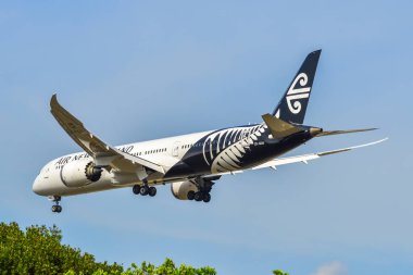 Yolcu uçağı Changi Havaalanına iniyor. 