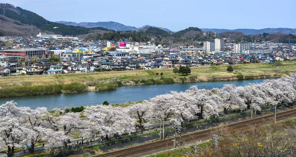 Aerial view of township with cherry blossom — 스톡 사진