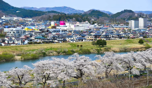 Aerial view of township with cherry blossom — ストック写真