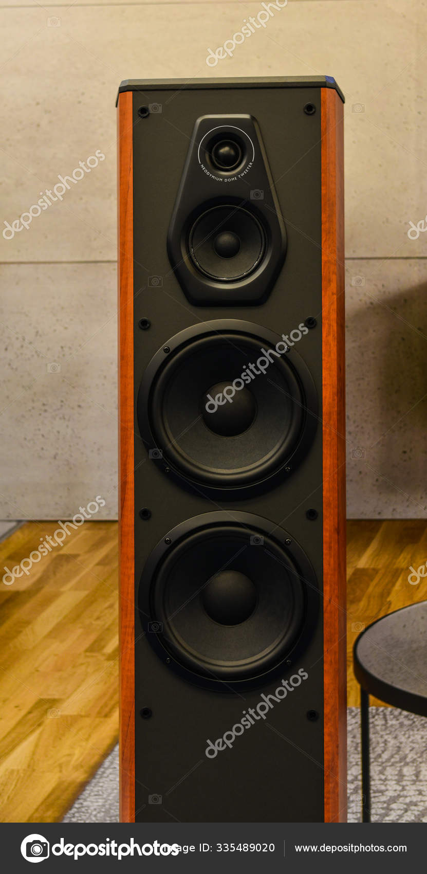 store speaker system