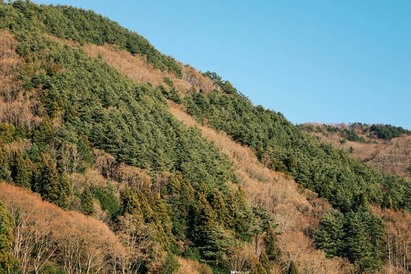 晴れた日の緑の山 — ストック写真