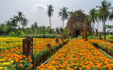 Marigold çiçek tarlasına sahip antik tuğla deposu 