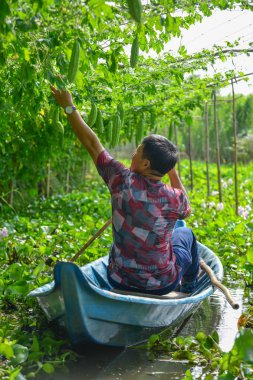 Kanalda Asyalı bir adam kürek çekiyor. 
