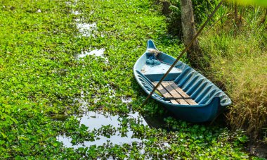 Mekong Delta 'nın kırsal manzarası 
