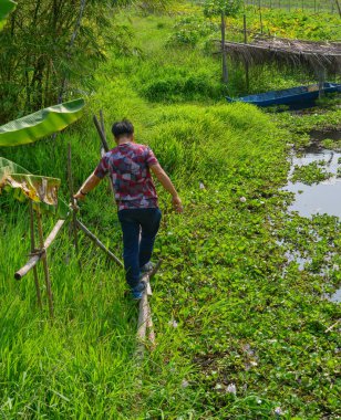 Tehlikeli bambu köprüsünde yürüyen Asyalı bir adam 
