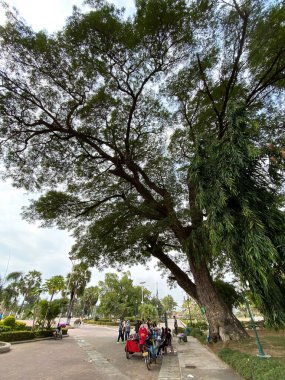 Vientiane, Laos - 29 Ocak 2020. Vientiane, Laos 'taki halk parkı. Vientiane, Mekong Nehri kıyısındaki Laos 'un başkenti ve en büyük şehridir..