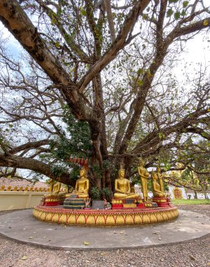 Vientiane, Laos - 29 Ocak 2020. Vientiane, Laos 'taki pagoda' da Altın Buda Heykeli. Toplam nüfusun yaklaşık% 65 'i Budizm olarak tanımlanmaktadır..
