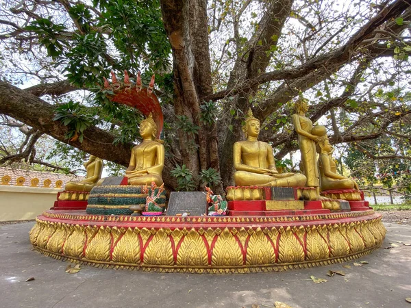 Vientiane Laos Enero 2020 Estatua Buda Oro Pagoda Vientiane Laos — Foto de Stock