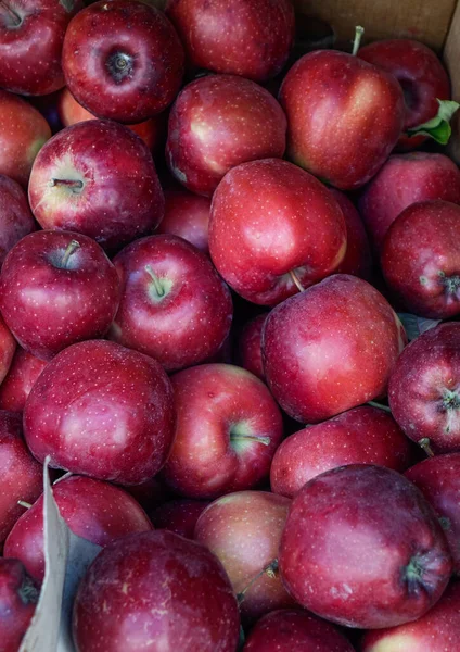 Frische Rote Apfelfrüchte Zum Verkauf Auf Dem Wochenmarkt Tiflis Georgien — Stockfoto