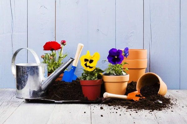 Equipment for planting flowers in the home garden — Stock Photo, Image