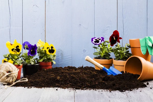 Equipment for planting flowers in the home garden — Stock Photo, Image