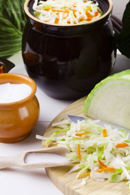 Asitleme için taze lahana