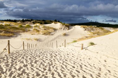 Kum tepeleri Baltık kıyısında 