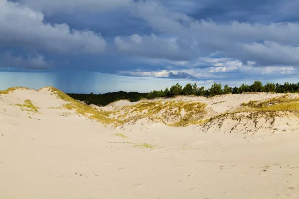 Αμμοθίνες στην ακτή της Βαλτικής — Φωτογραφία Αρχείου