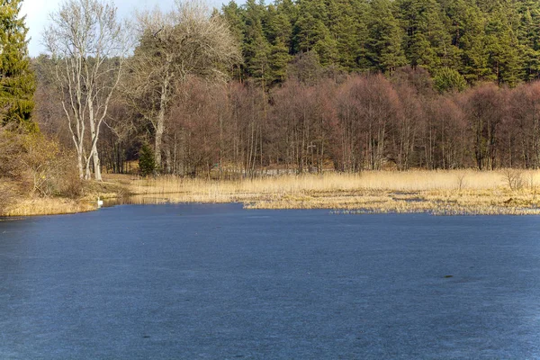 Jäädytetty järvinäköala — kuvapankkivalokuva