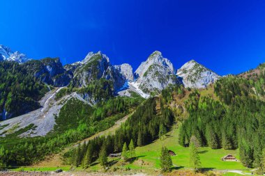 Alplerdeki karla kaplı tepeler güzel yeşil bir dağ ile