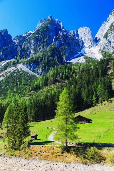 Los picos cubiertos de nieve en los Alpes con una hermosa montaña verde —  Fotos de Stock