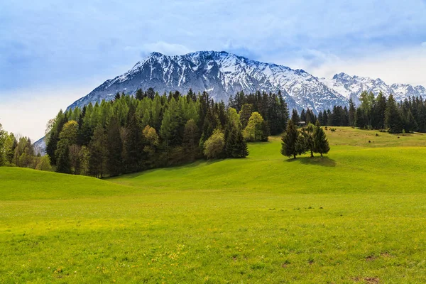 以阿尔卑斯山为背景的美丽的绿色草甸. — 图库照片