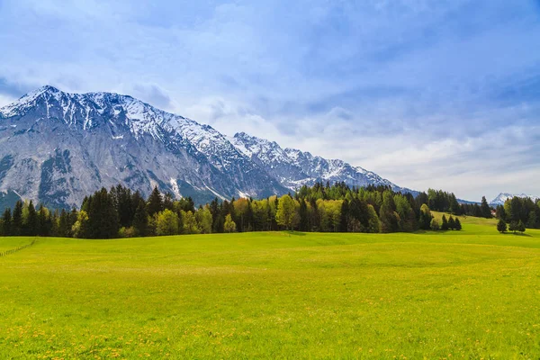 Красивый зеленый луг с Альпами на заднем плане . — стоковое фото