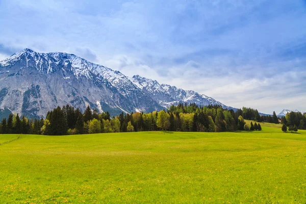 Hermoso prado verde con los Alpes en el fondo . — Foto de Stock