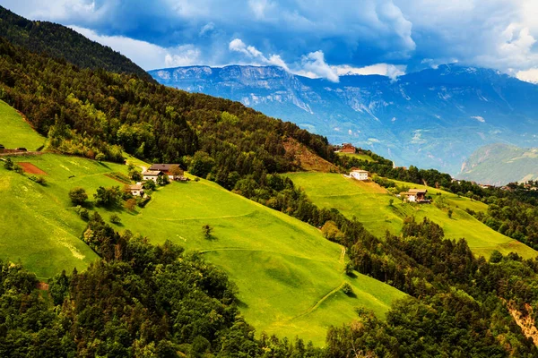 背景にアルプスの美しい緑の牧草地. — ストック写真