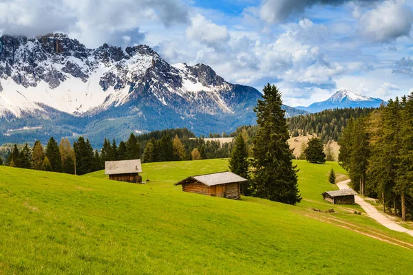 Красивый зеленый луг с Альпами на заднем плане . — стоковое фото