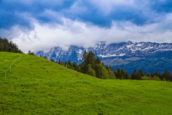背景にアルプスの美しい緑の牧草地. — ストック写真