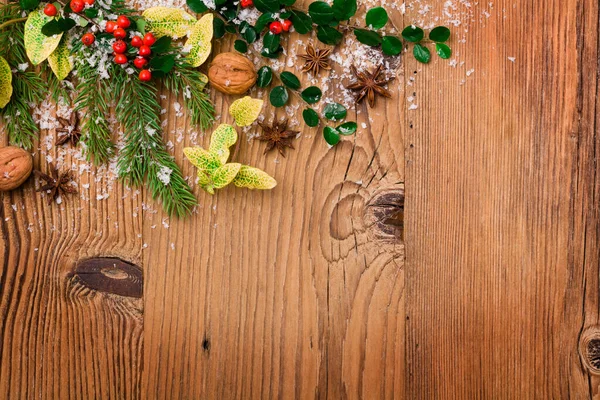 Fondo de invierno con plantas verdes naturales y decoración de Navidad —  Fotos de Stock