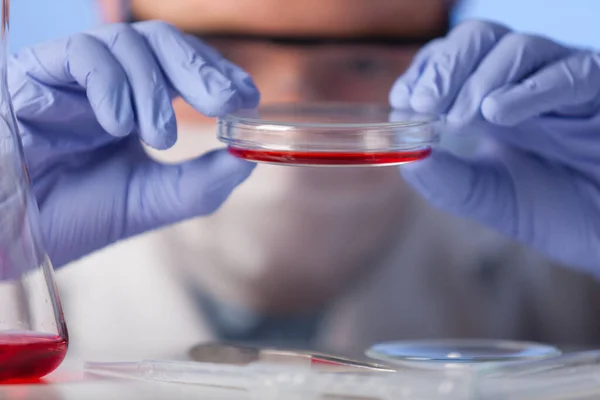 ラボだ 白いコート ゴム手袋 保護メガネの研究室の技術者は 試験された細菌の状態をチェックします — ストック写真