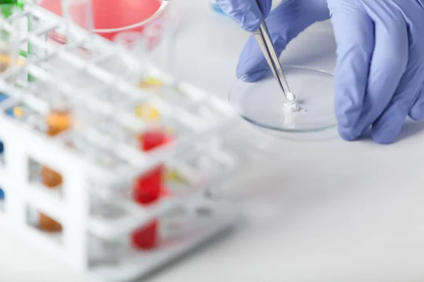 Laboratorio Técnico Laboratorio Guantes Goma Con Pinzas Prepara Una Muestra — Foto de Stock