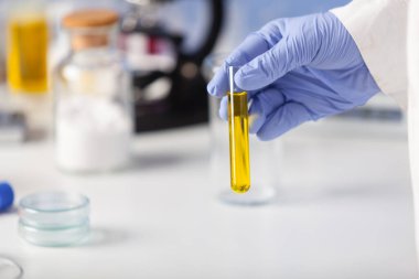 Laboratuvarda numunelerin incelenmesi. Biyolojik materyal örneği, daha fazla test için..