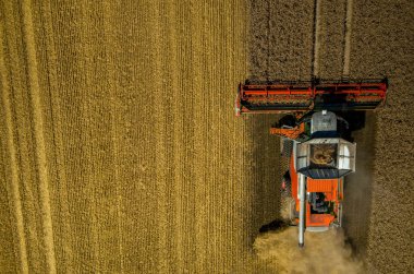 buğday alanında çalışan birleştirme