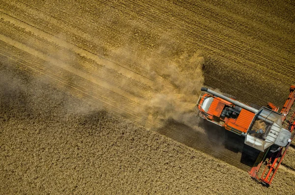 Combinare il lavoro sul campo di grano — Foto Stock