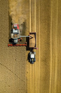 buğday alanında çalışan birleştirme