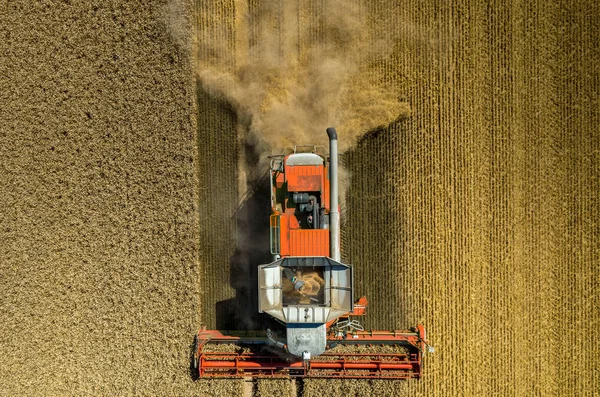 Комбинировать работу на пшеничном поле — стоковое фото