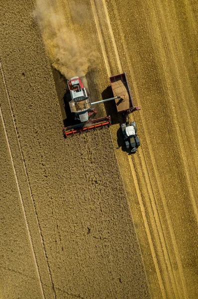 Łączenie pracy na polu pszenicy — Zdjęcie stockowe