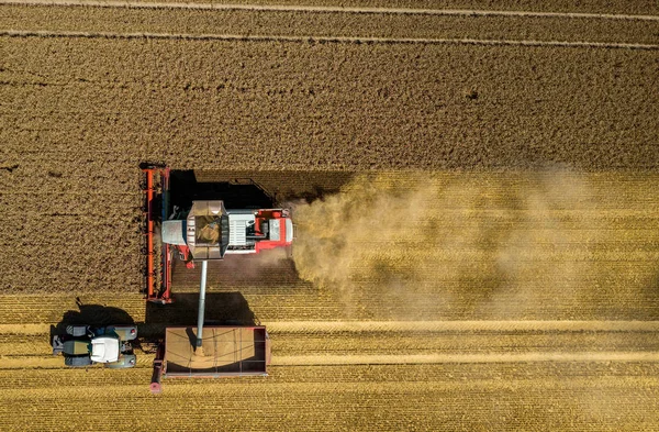 Kombinovat, pracující na poli pšenice — Stock fotografie