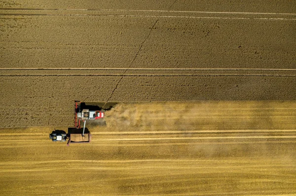 Combiner le travail sur le champ de blé — Photo