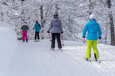 Alp Dağları'nda kayakçı