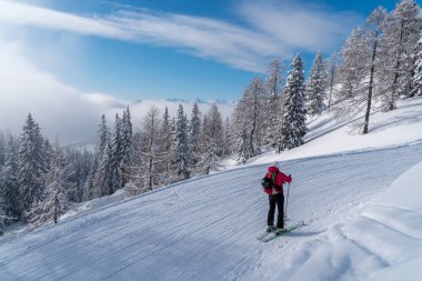 Alp Dağları'nda kayakçı