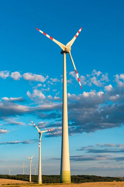 Molinos de viento en el campo — Foto de Stock